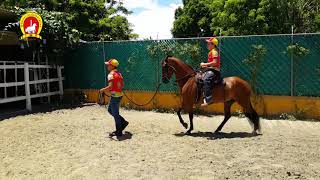 Los jinetes dominicanos Oscar y Yordy entrenando la yegua de Paso Fino Réplica [upl. by Joceline610]