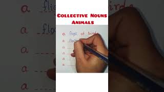 collective Nouns  Animals  nouns enlgish grammar  english [upl. by Rasure671]