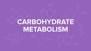 Carbohydrate metabolism Lecture 3 HMP shunt amp uronic acid pathway [upl. by Karia]