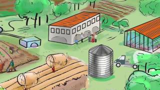 Improved rural urban linkages Building sustainable food systems [upl. by Adiela]