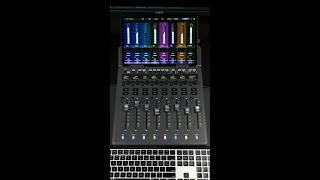 You Can with EUCON Control plugins with faders on the Avid S1 [upl. by Atteuqihc]