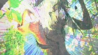 Mona Shpongled Hoops  Shpongle Divine Moments of Truth DMT [upl. by Anada]