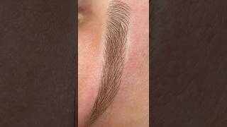 Microblading eyebrows [upl. by Fulbright]