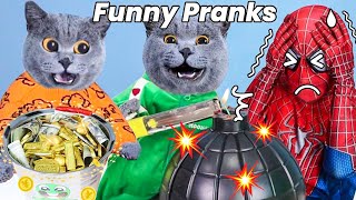 Oscars LATEST Video Will Shock And Excite You🥳  Oscar‘s Funny World  New Funny Cat Videos 2023 [upl. by Allehcim128]