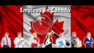 ¡No te pierdas 10 ofertas de empleo en Canadá [upl. by Eisenberg]