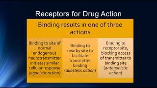 Psychopharmacology amp Pharmacodynamics [upl. by Kilgore]