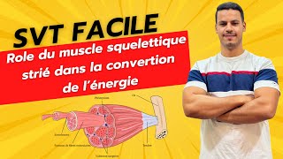 PARTIE 1  Rôle du muscle squelettique strié dans la conversion de l’énergie [upl. by Atilrak]