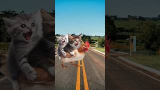 sheep attacks cute kittens cat trendingshorts cutecat [upl. by Yanahs]