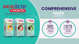 Bravecto 1Month Chew Your Ultimate Guide for a Healthy Pet [upl. by Ttennaj]