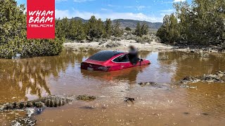 FULL SELF DRIVING TESLA CRASH INTO A POND [upl. by Rivy]