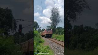 Different Horn sound Train Passing [upl. by Nwahsram381]