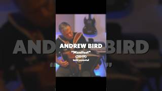 Andrew Bird quotManifestquot 2019 acoustic instrumental cover [upl. by Secnarfyram]