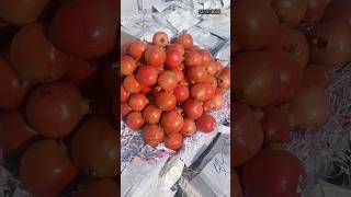 Today fruits rates 😍😋  Edhi Yaaparam  Pavan Kumar Undamatla [upl. by Allsun782]