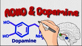 Understanding ADHD amp Dopamine Its More Than a Deficit [upl. by Mellitz]