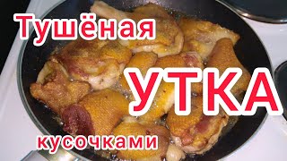 ✅Вкуснейшая УТКА тушёная кусочками в кастрюле Продукты в Германии [upl. by Jean539]