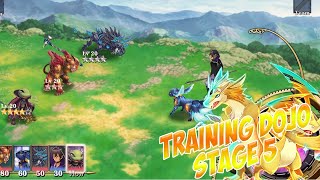 Training Dojo Stage 5 Evertale [upl. by Nodnab]