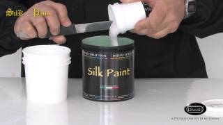 Silk Paint [upl. by Rubliw964]