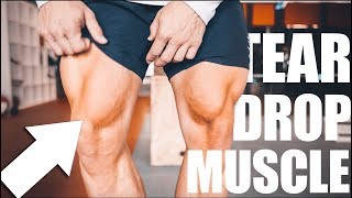 LEG DAY TRAINING  VASTUS MEDIALIS [upl. by Carlynn917]