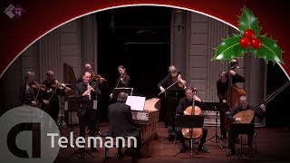 Telemann Oboe Concerto TWV 51f1  Combattimento  Live concert HD [upl. by Gilboa680]