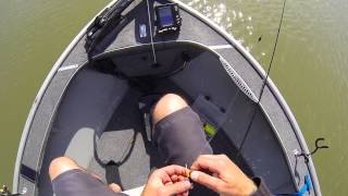 Quick Crappie POV  Clinton Lake [upl. by Naujtna]