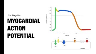 Ventricular Action Potential  Medzcool [upl. by Buchanan262]