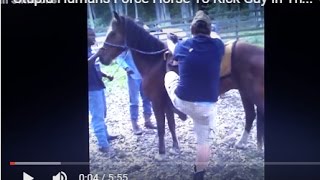 Stupid Humans Force Horse To Kick Guy In The Head  Horse Yoga Dummy [upl. by Felicidad]