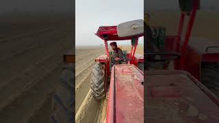 mf240 potatocultivation travelvideo mf260 potatofarming [upl. by Allenad]