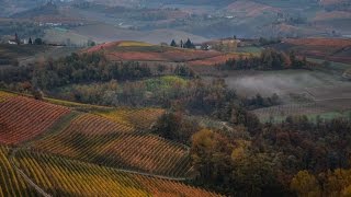 Langhe in autunno WE360 tra i vigneti piemontesi [upl. by Mcknight]