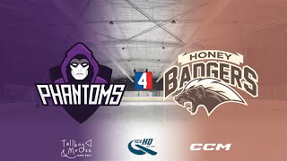 Phantoms v Honey Badgers  Div 4  9th October  IceHQ Rec League ice hockey [upl. by Romalda]