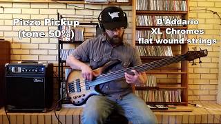 Ibanez SRF 705 Portamento fretless bass flatwound vs tapewound strings pt 1 [upl. by Aehtla]