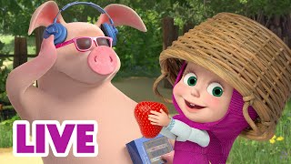 🔴 LIVE STREAM 🎬 Masha and the Bear ☀️ On a Hot Summer Day 🍉🥵 [upl. by Eirameinna]