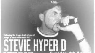 Stevie Hyper D Move Your Body Vidwmv [upl. by Hplodnar580]