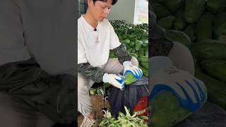 Turnover of millions from papaya cultivation 😱💯shorts youtubeshorts ytshorts shortvideo [upl. by Sseb]