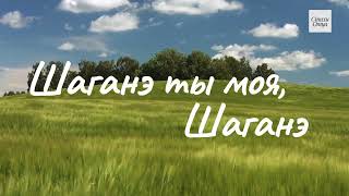 quotШаганэ ты моя Шаганэquot Стихи  СЕсенин музи исп  КМуминов клип  АМуминов [upl. by Greene251]