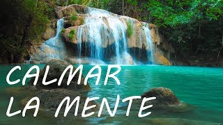 Relajación Música para Relajarse y Calmar la Mente  Música de la Naturaleza [upl. by Yrrah742]