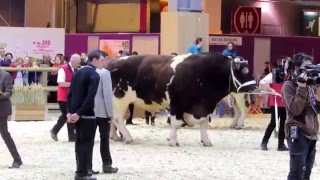 Salon de lAgriculture 2016 [upl. by Pierson]