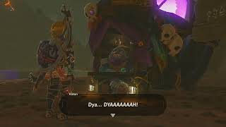 The Legend of Zelda Breath of the Wild  100 Run  Day 147 [upl. by Viguerie81]