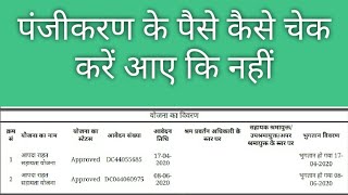 How To Check Panjikaran Money पंजीकरण का पैसा कैसे चेक करें Shramik labour Card ka Paisa Kaise Check [upl. by Kenison220]