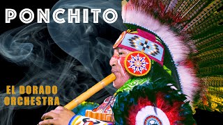 Ponchito  El Dorado Orchestra 🇵🇪🦅Native American indian instrumental music [upl. by Deborah]