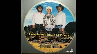 Los Aerolitos Del Norte Voy a tirarme a los vicios [upl. by Alrzc]