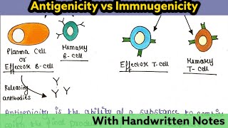 Antigenicity and Immunogenicity  Immunology Lecture 20 [upl. by Betthel104]