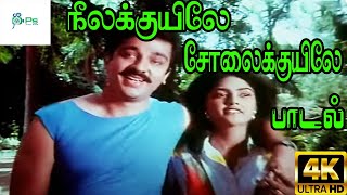 Neela kuyile sola kuyile  நீல குயிலே  Arun Mozhi Chitra  Love Melody Duet H D Song [upl. by Kinelski396]