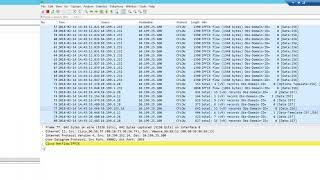 How to Troubleshoot NetFlow Using Wireshark [upl. by Nauqal]