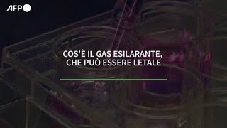 Cose il gas esilarante perche puo essere letale [upl. by Golden487]