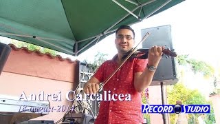 ANDREI CARCALICEA  UN MAESTRU AL VIORII  Colaj SARBA INSTRUMENTALA [upl. by Arytahs856]