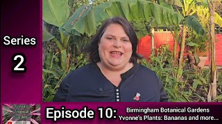 S2 E10 Freyas Tropical Garden Birmingham Botanical Gardens Yvonnes Plants Bananas and more [upl. by Aivatnohs721]