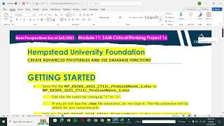 Excel Module 11 SAM Project A Hempstead University Foundation  Excel Module 11 SAM Project 1a [upl. by Moorefield]