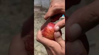 apple wax 😱trending viral shirts youtube [upl. by Leacock357]