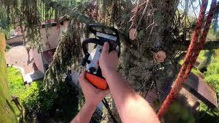 Abattage dun sapin proche de la maison ms151 stihl ms462 [upl. by Mauldon]