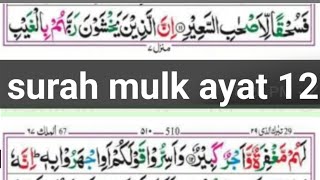 Surah Al mulkl ayat 12 word by wordAyman quran academy [upl. by Arrahs170]